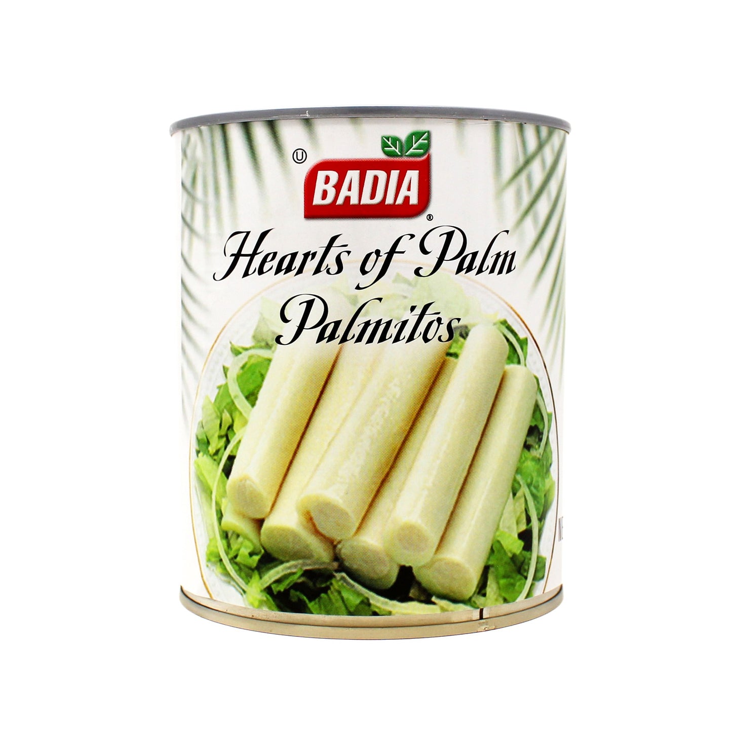 Hearts of Palm Can -  28 oz